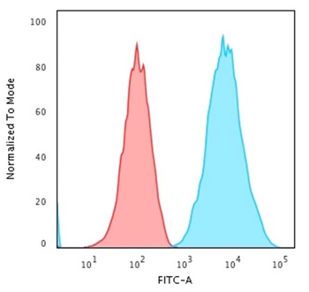 HLA-DR (MHC II) Antibody
