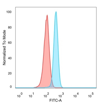 Microphthalmia Transcription Factor (MITF) Antibody