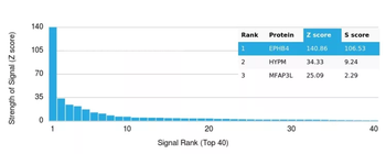 EPH Receptor B4 (EPHB4) Antibody