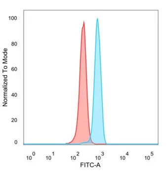 NR3C2 Antibody