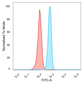PRDM1 Antibody