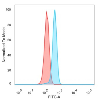NR5A2 Antibody