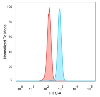 FOXL1 Antibody
