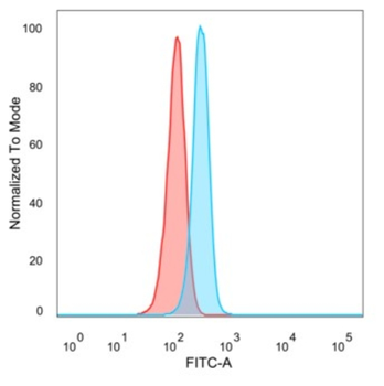 LDB2 Antibody
