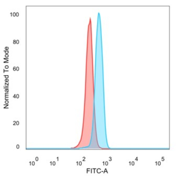 ZNF343 Antibody