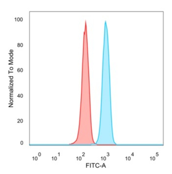 SNAPC4 Antibody