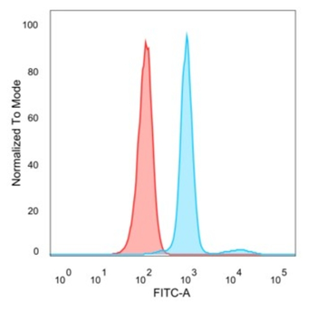 KDM1A Antibody