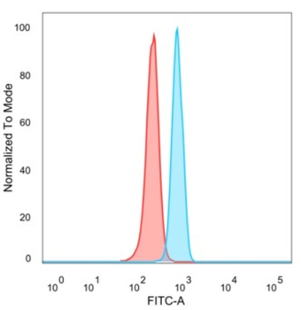 MZF1 Antibody