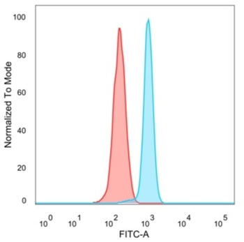SRF Antibody