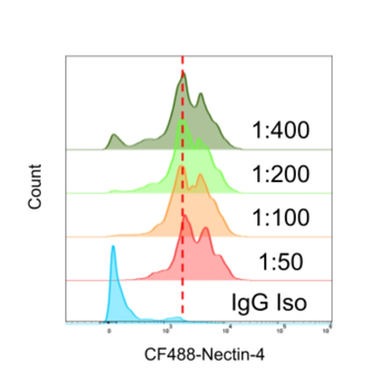 NECTIN4 Antibody