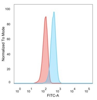 CCR5 Antibody