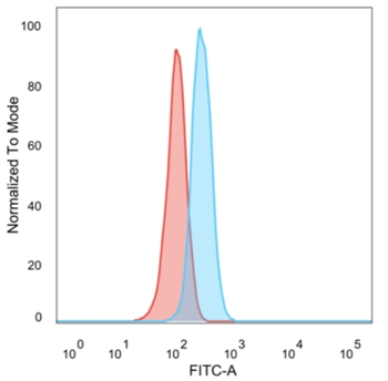 CCR5 Antibody