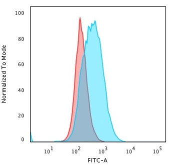 HLA-DPB1 Antibody