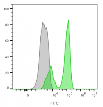 CD3E Antibody