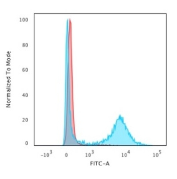CD8A Antibody