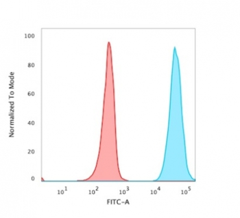 CD47 Antibody