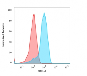 CD47 Antibody