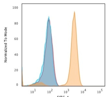 TFRC Antibody