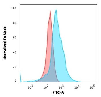CR2 Antibody