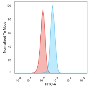 ERBB2 Antibody