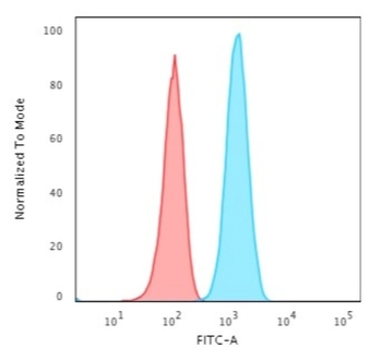 GFAP Antibody