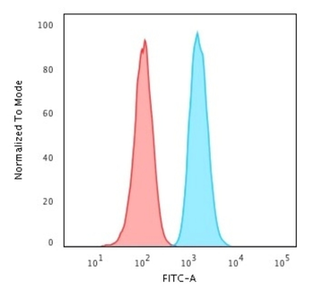 GSTM2 Antibody