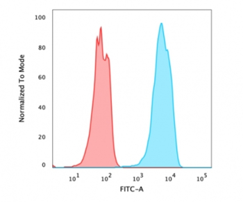 FOXA1 Antibody