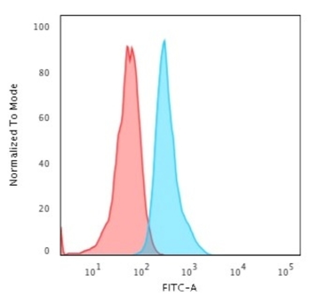 KRT15 Antibody