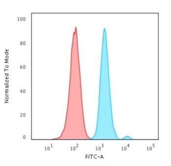 MKI67 Antibody