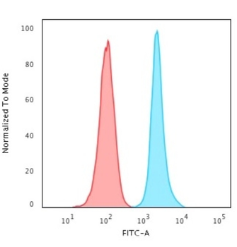 MKI67 Antibody