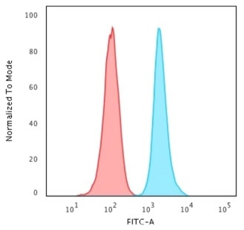 MKI67 Antibody