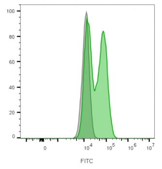 NCAM1 Antibody