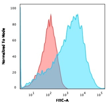 NEFH Antibody