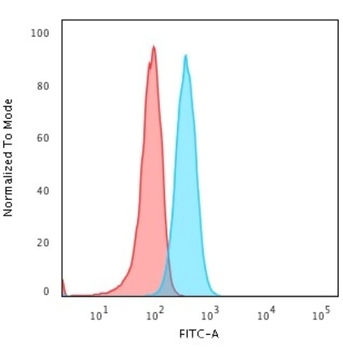 POU2AF1 Antibody