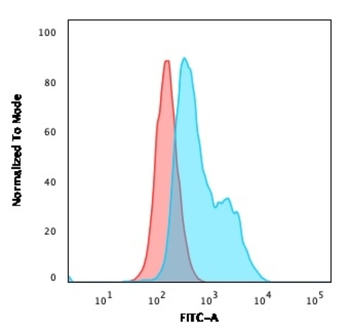 POU2AF1 Antibody