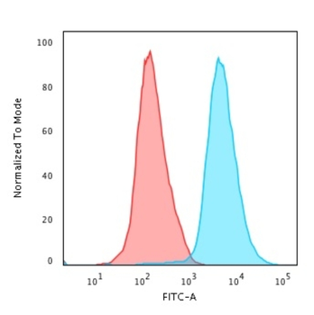 PTPRC Antibody