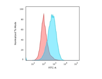 PTPRC Antibody