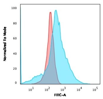 SLC2A1 Antibody