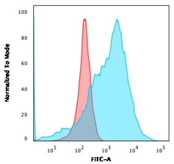 SLC2A1 Antibody
