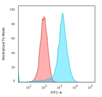 SPN Antibody