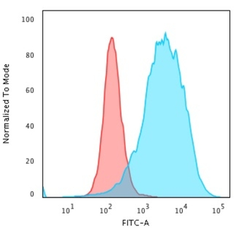 SPN Antibody