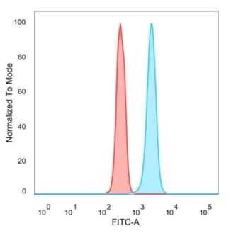 STAT6 Antibody