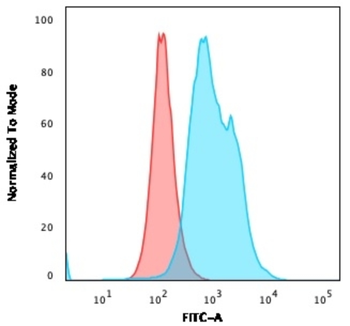 TYMS Antibody