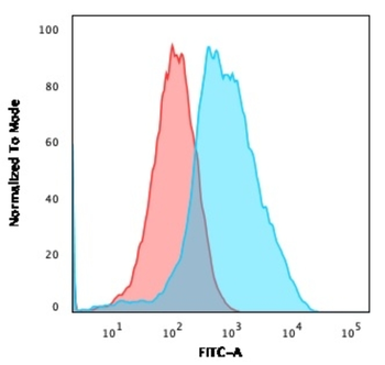 UBB Antibody