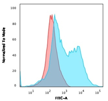ZAP70 Antibody