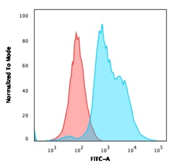 ZAP70 Antibody