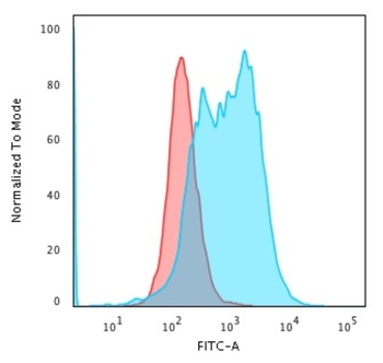 BCL10 Antibody