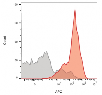 CD3E Antibody