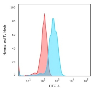 CD5 Antibody
