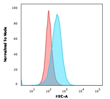 CD5 Antibody